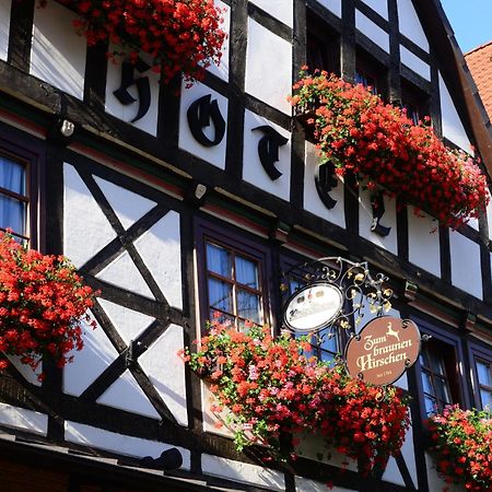 Hotel Zum Braunen Hirschen Бад-Дрибург Экстерьер фото